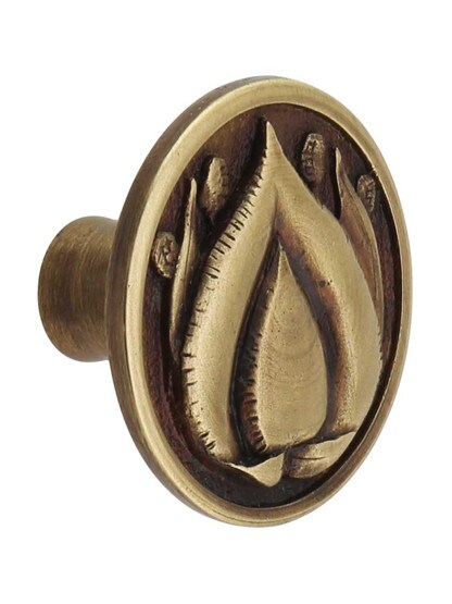Hope Blossom Cabinet Knob in Antique Brass.